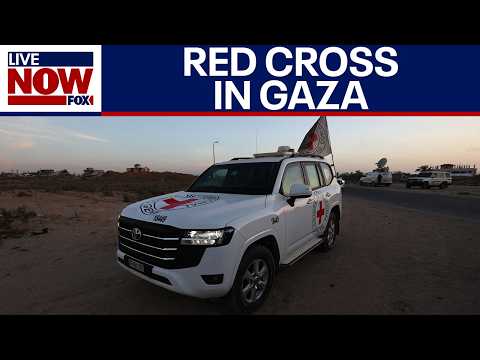 Video | Red Cross continues humanitarian efforts inside Gaza