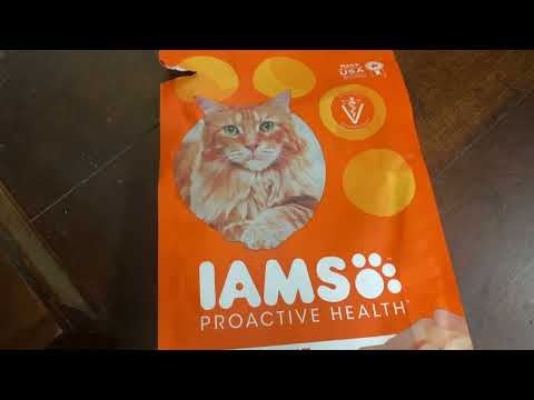 Honest Review IAMS Chicken Cat Food