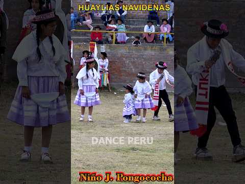 ✨ Huaylia Navideña 2025 🎄 Pongococha – Vilcas Huamán