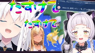絶望色違い耐久中の2人のもとへ「スイスイ~」と登場する紫咲シオン【白上フブキ/不知火フレア/ダイパリメイク/ホロライブ切り抜き】