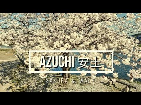 Visit Ōmihachiman 近江八幡を訪ねて | Azuchi 安土Sakura Walk桜散歩4K