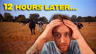 I Disconnected for 12 Hours | Here’s What I Found