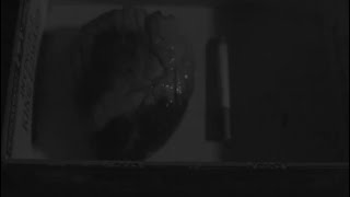 A Heart Not Beating - A short Film