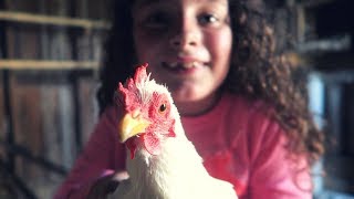 Teaching a CITY GIRL to CATCH A CHICKEN