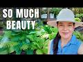 Come Walk the Garden Center With Me | Everything Is Exploding in Bloom!
