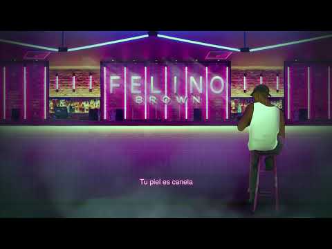 Felino Brown - Mi Borrachera