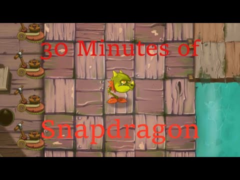 Snapdragon Dancing to the Pirate Seas Wave 1 Music for 30 Minutes (PVZ 2)