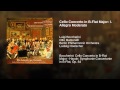 Cello Concerto in B-Flat Major: I. Allegro Moderato