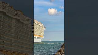 Allure of the Seas 🛳️ #share #like #subscribe #comment #cruise #vacation #shortvideo #shortsvideo