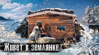 Отшельник: один в лесу среди волков и медведей