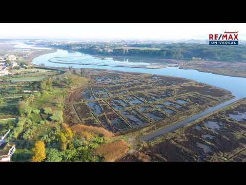 Terreno com 2 moradias para restauro em Vagos - Anabela Ferreira Remax Universal