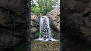 Enjoy the music - Extract from Pachelbel - Partie In G Major For Strings And Continuo - P. 440