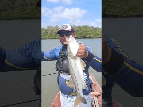 Pescando com isca artificial no Rio Aturiaí Augusto Corrêa PA #pescaria #amigos #diversão