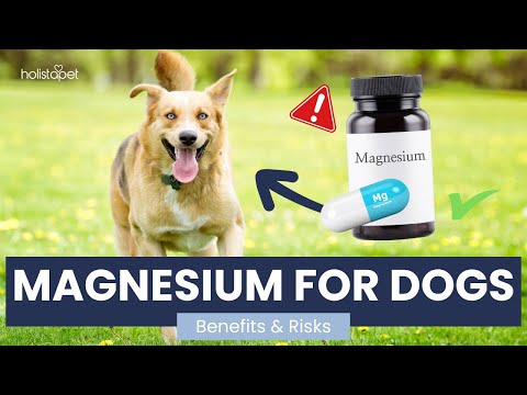 Magnesium Deficiency in Dogs: Symptoms, Causes & Treatment