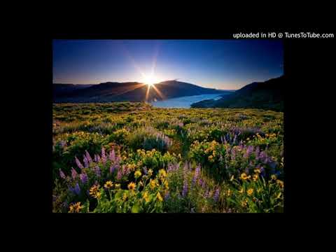 Campineiro - Mestre Irineu