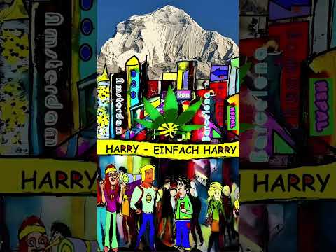 EIN SUPER TOLLES BUCH  !! !   Harry - Einfach Harry #deutsch #english