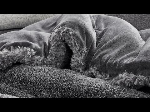 Chunky Bunny Git Cozy - Coma Inducer® Oversized Comforter Set - Black Salt