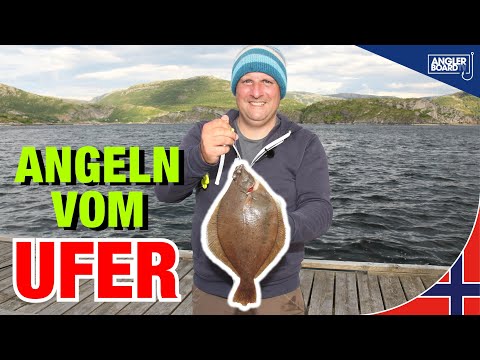 Shore fishing in Norway | Fishing from a jetty | Tips for flatfish, pollack & whiting | Anglerboa...
