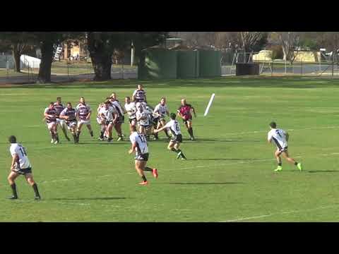 2018 Group 10 Round 9 - Blayney Bears v Bathurst Panthers