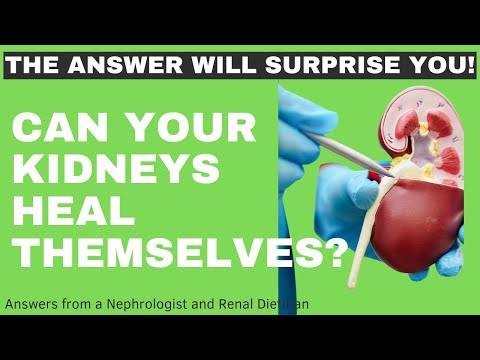 Can Your Kidneys Heal Themselves? The Answer Will Surprise You!