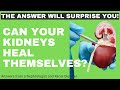 Can your kidneys repair and regenerate?
