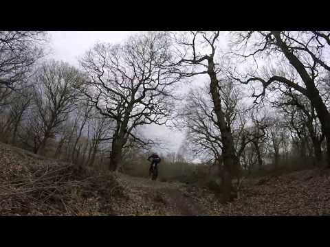 Coxley and middlestown woods March 19