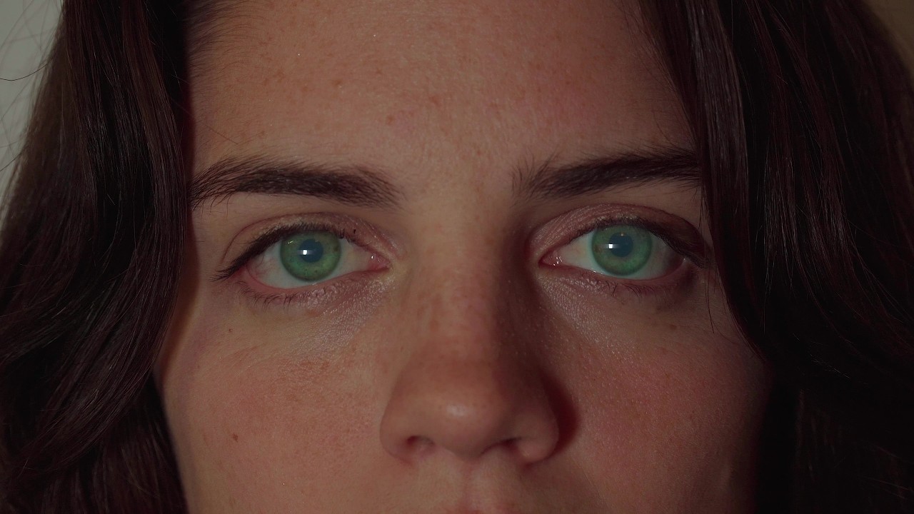 A Life in Colour (2026) | Proof of Concept