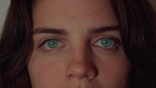 A Life in Colour (2026) | Proof of Concept