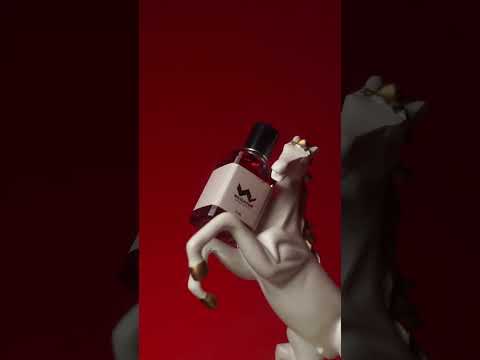 Perfumes - Videography
