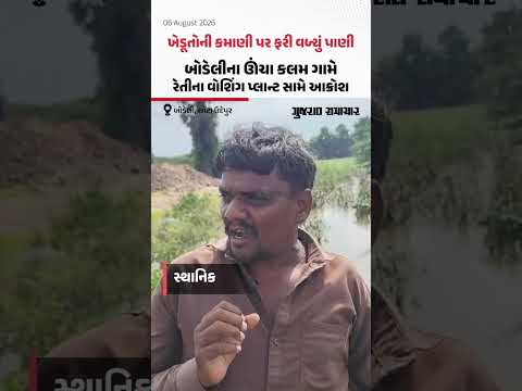 ખેડૂતોની કમાણી પર ફરી વળ્યું પાણી, Bodeliના ઊંચા કલમ ગામે રેતીના વોશિંગ પ્લાન્ટ સામે આક્રોશ ખેડૂતોની કમાણી પર ફરી વળ્યું પાણી, Bodeliના ઊંચા કલમ ગામે રેતીના વોશિંગ પ્લાન્ટ સામે આક્રોશ