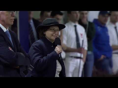 Herre 524 kampioen jonge hengsten