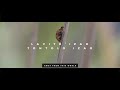 TIAKO IANAO REKO Lyrics Video With English Subtitles