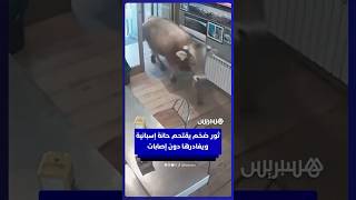 ثور ضخم يقتحم حانة إسبانية في إقليم كاتالونيا ويغادرها دون إصابات thumbnail