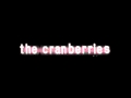 2. The Cranberries - Animal Instinct (Live in ...