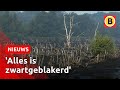De Peel smeult na op day-after grote natuurbrand | Omroep Brabant