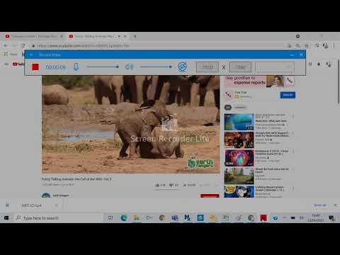 Funny Talking Animals: the Call of the Wild