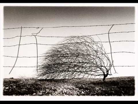 Mack Trenka - Too Smart For Your Own Good