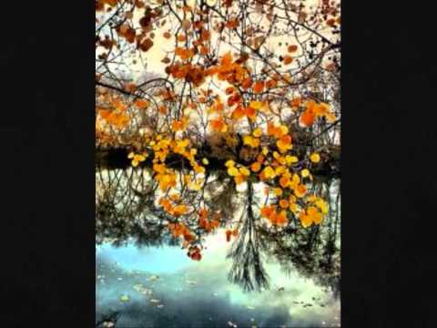 Ennio Morricone - Theme de Vatel - Jesuscm.