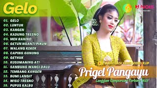 Download lagu PRIGEL PANGAYU - GELO - LUNTUR - KANGEN - KADUNG TRESNO | KOMPILASI LANGGAM CAMPURSARI TERBARU 2023 mp3