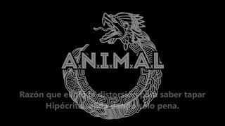 ANIMAL - Sin ley letra subtitulado