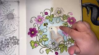 Livestream - Viewers Choice - What are we going to colour???