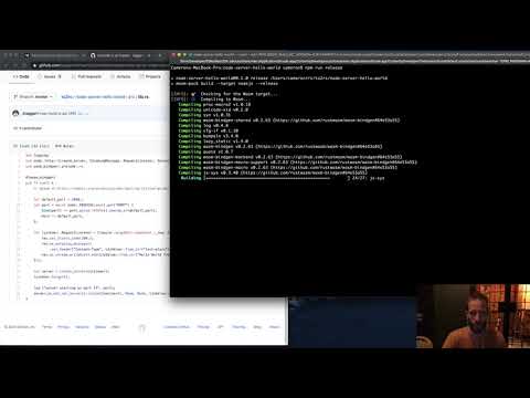 creating a Node.js Server App with Rust WebAssembly