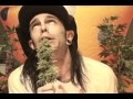 Muck Sticky - High Times (Official Music Video)