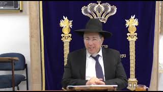 פרשת בא   טוב שההגה בידיים של הקב"ה - הרב שלמה ברסקה שליט"א תשפ"ו