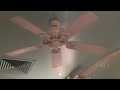 52" Quorum Empress Ceiling Fans