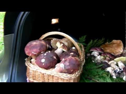 IL FINALE CHE NON TI ASPETTI