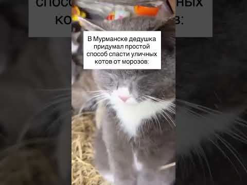 22 апреля 2026 г.