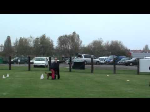 Etéocle à Emmerin le 29-10-11