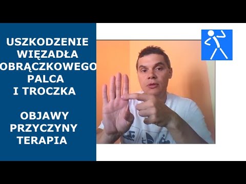 Koszulki kulturystyce Książki na fitness i kulturystyki pobrania