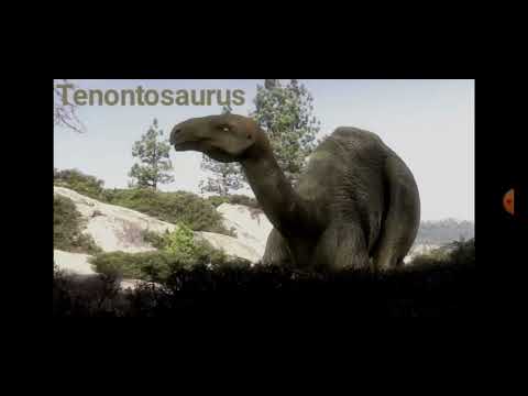 Every prehistoric creature from Prehistoric Assassins